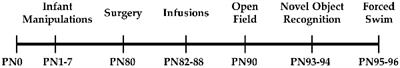 Pharmacological Manipulation of DNA Methylation in Adult Female Rats Normalizes Behavioral Consequences of Early-Life Maltreatment